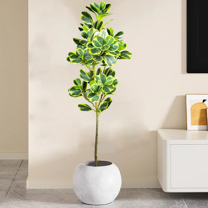 Nature’s Touch Without the Fuss – Elegant Artificial Ficus Branch