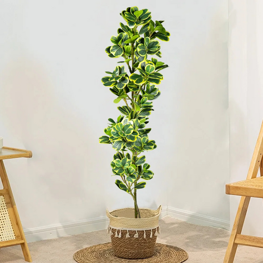 Nature’s Touch Without the Fuss – Elegant Artificial Ficus Branch